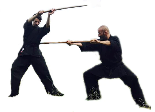 Ninjutsu